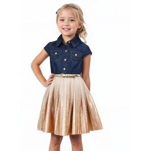 NWT Pink & Violet Cap Sleeve Denim Metallic Skirt Dress 2T